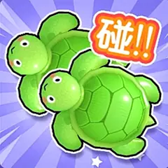 Random Turtle Match Bag